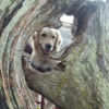 rockysox3